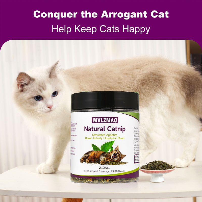 Cat Toys - Silvervine Catnip f - Nettle Leaf Tea recension och pris